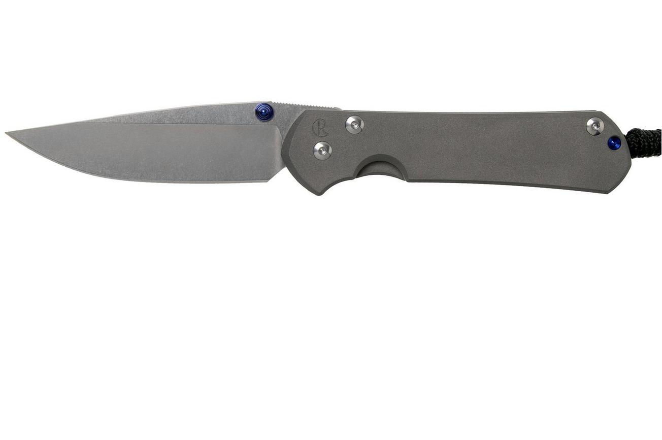 Chris Reeve Sebenza 31 Large Plain L31-1000 zakmes