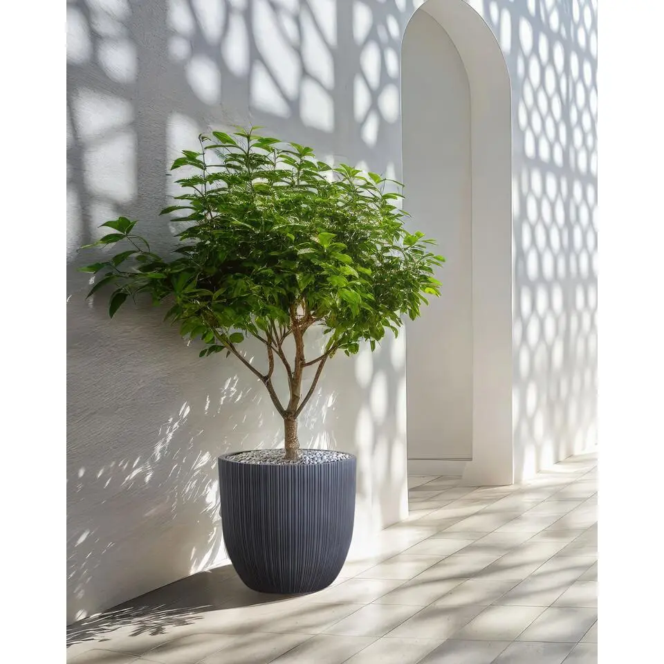 FRAXINUS - Bloempot - Grafietgrijs - MgO