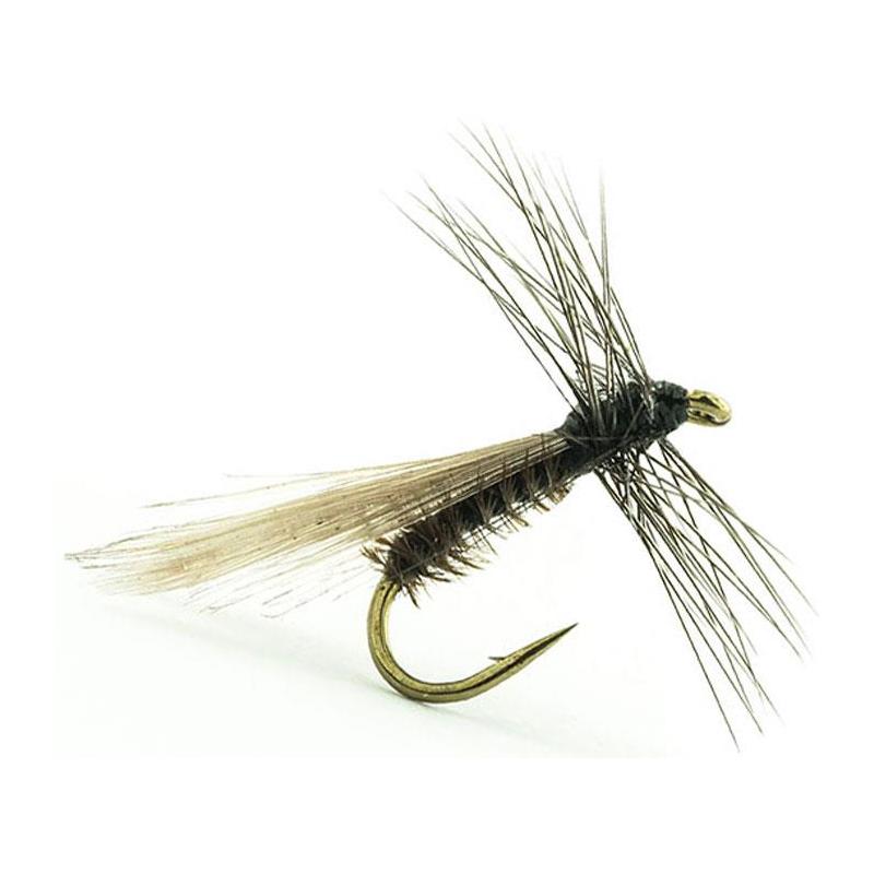 Mouche Devaux Terrestre 428