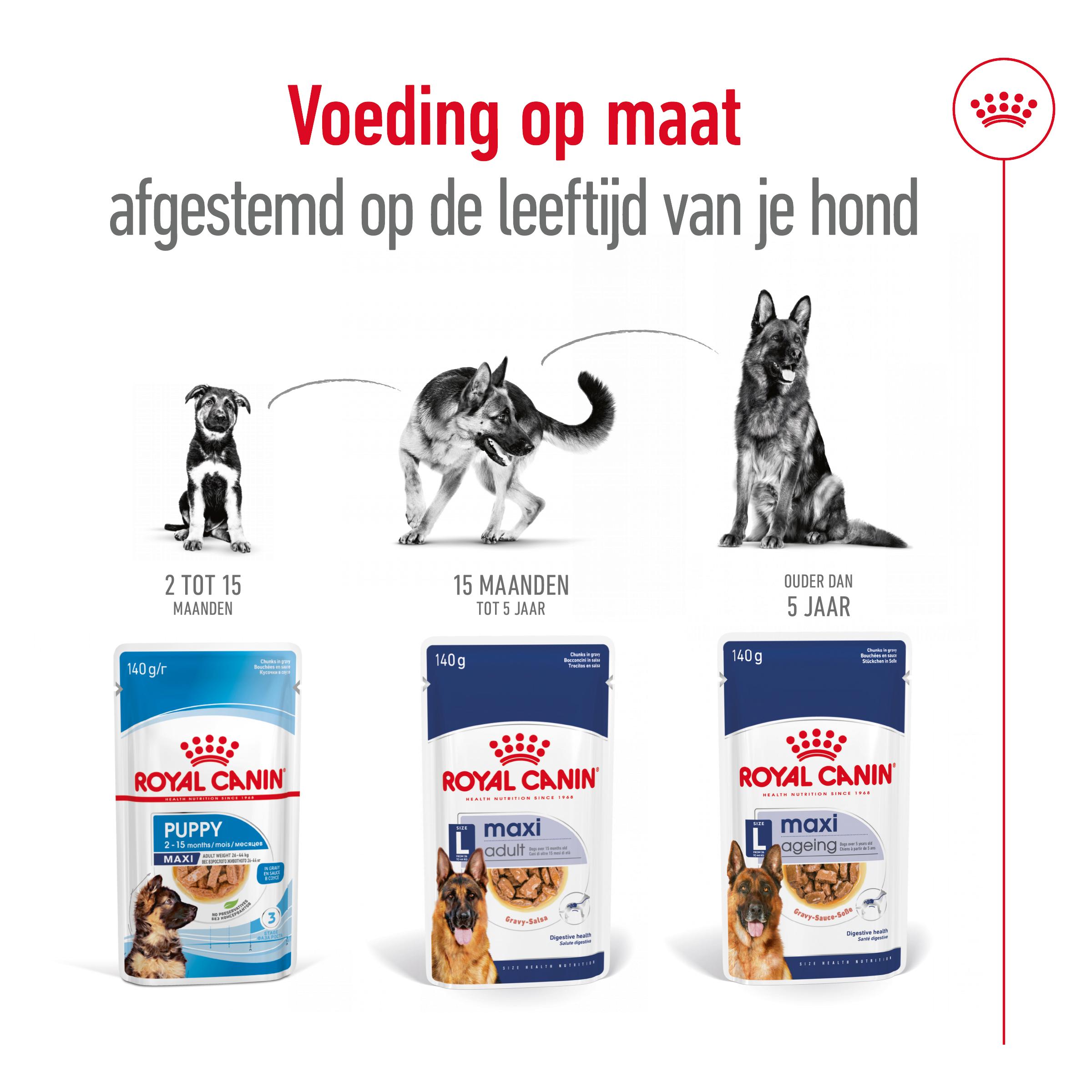 Royal Canin Maxi Adult Wet - Hondenvoer