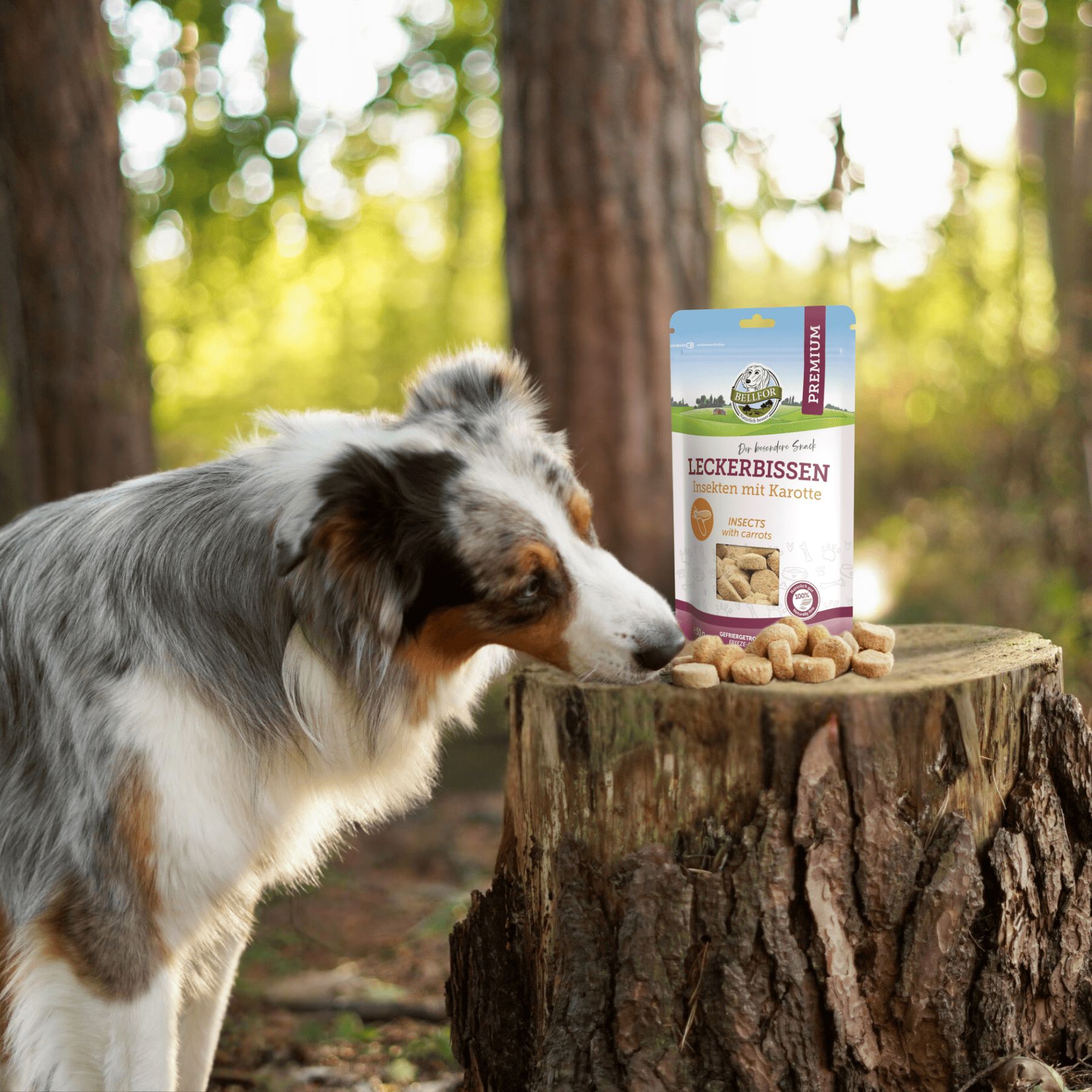 Leckerbissen für Hunde - Insekten mit Karotte (gefriergetrocknet)