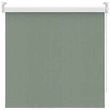 KARWEI rolgordijn verduisterend groen (kleurnr. 3669) 60x190 cm (bxh)