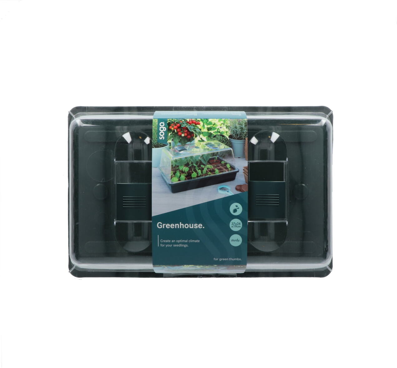 Sogo kweekbak groen 37 x 24 x 19 cm