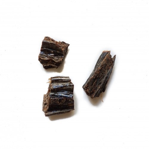 FlooppBITES Pacote de Biscoitos 100% Naturais para Cães