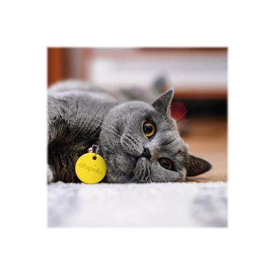 Chipolo ONE - Balise de sécurité sans fil pour téléphone portable - jaune