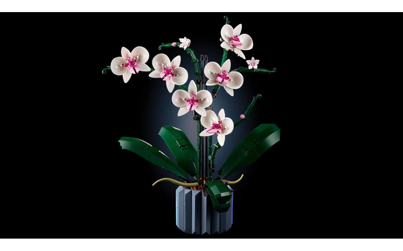 LEGO 10311 Botanicals Orchidee