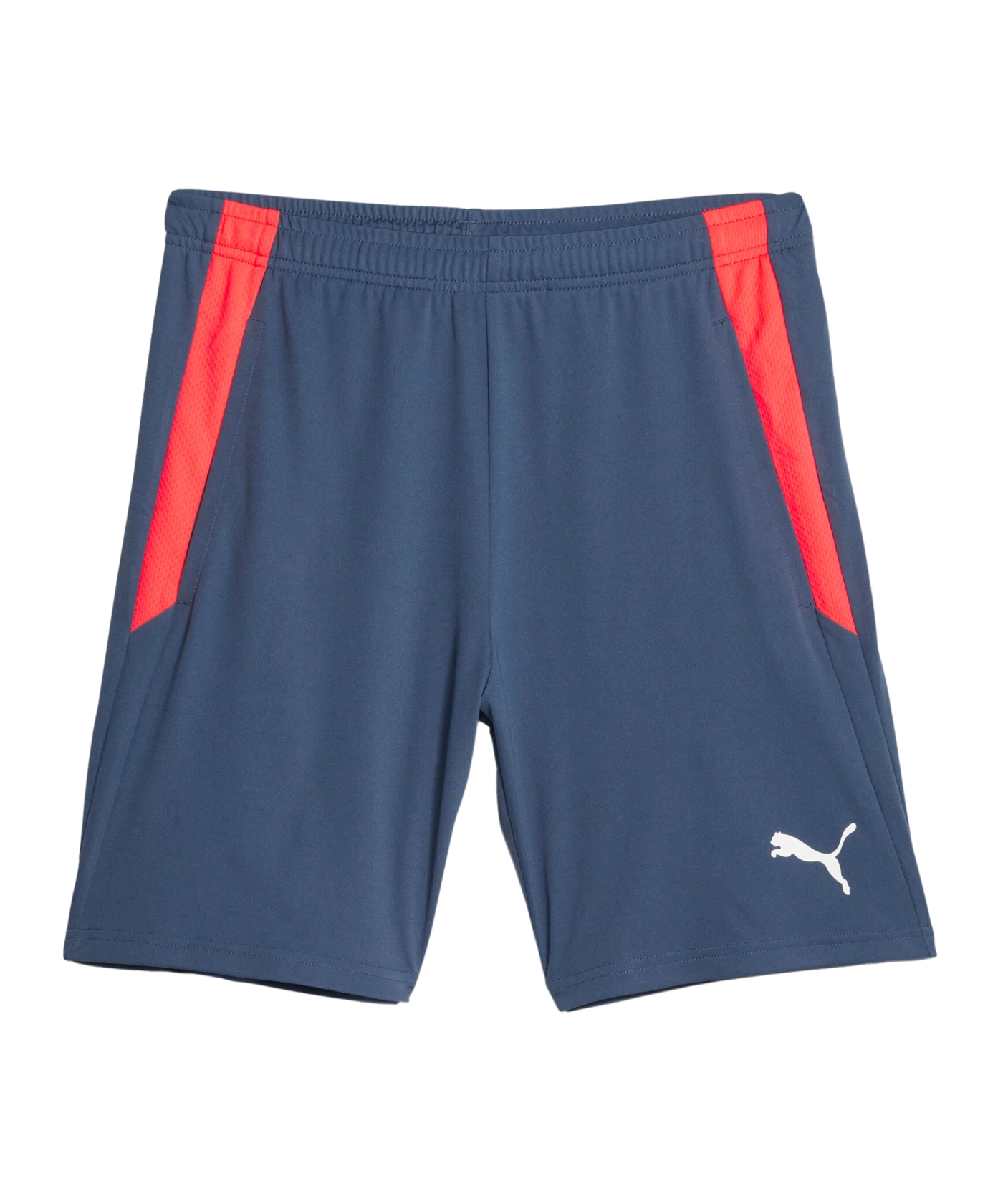 PUMA teamLIGA 2 Short Blau F53