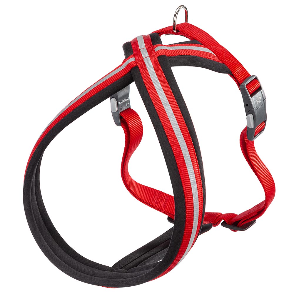 Harnais pour chiens de taille grande daytona cross l, réfléchissant, rembourrée, avec boucle magnétique