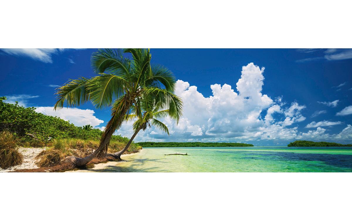 Puzzle Paradise Palms PanoramaPuzzle mit 2000 Teilen