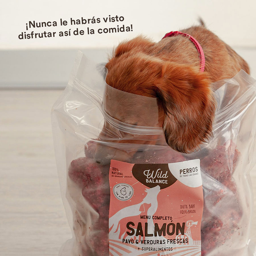 Pacote completo de alimentação BARF para cães, sabor peru e salmão.