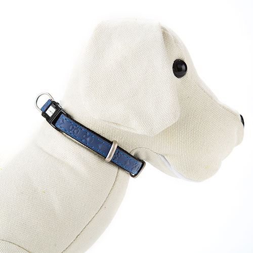Coleira para cães MacLeather Star Blue em couro sintético