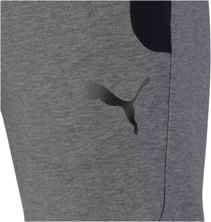Puma Evostripe Bukser Grå