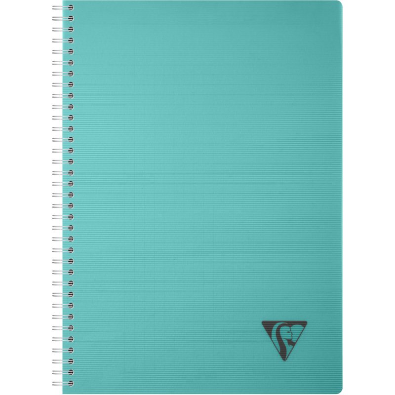 Carnet spirale Linicolor Essence A4 21 x 29,7 cm grands carreaux - 180 pages