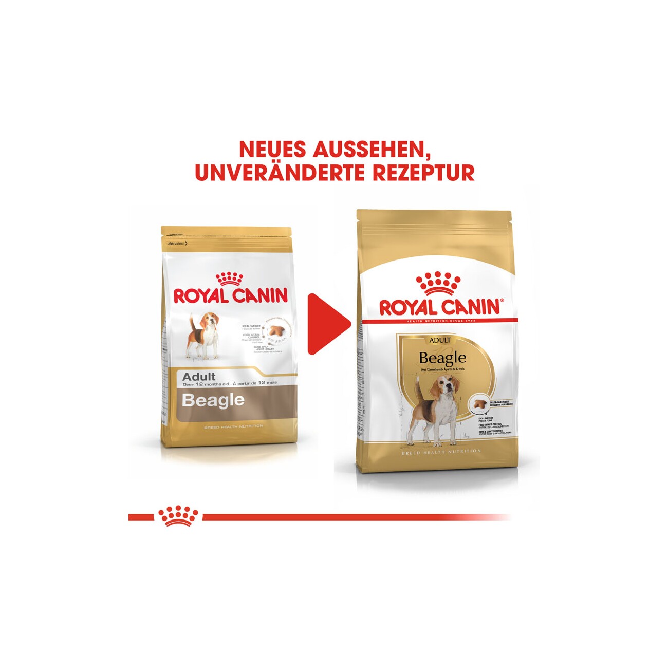 ROYAL CANIN Beagle Adult 3 kg
