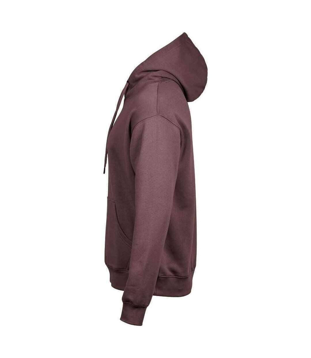 Tee Jays - Sweat CAPUCHE - Hommes (Violet) - UTPC4097