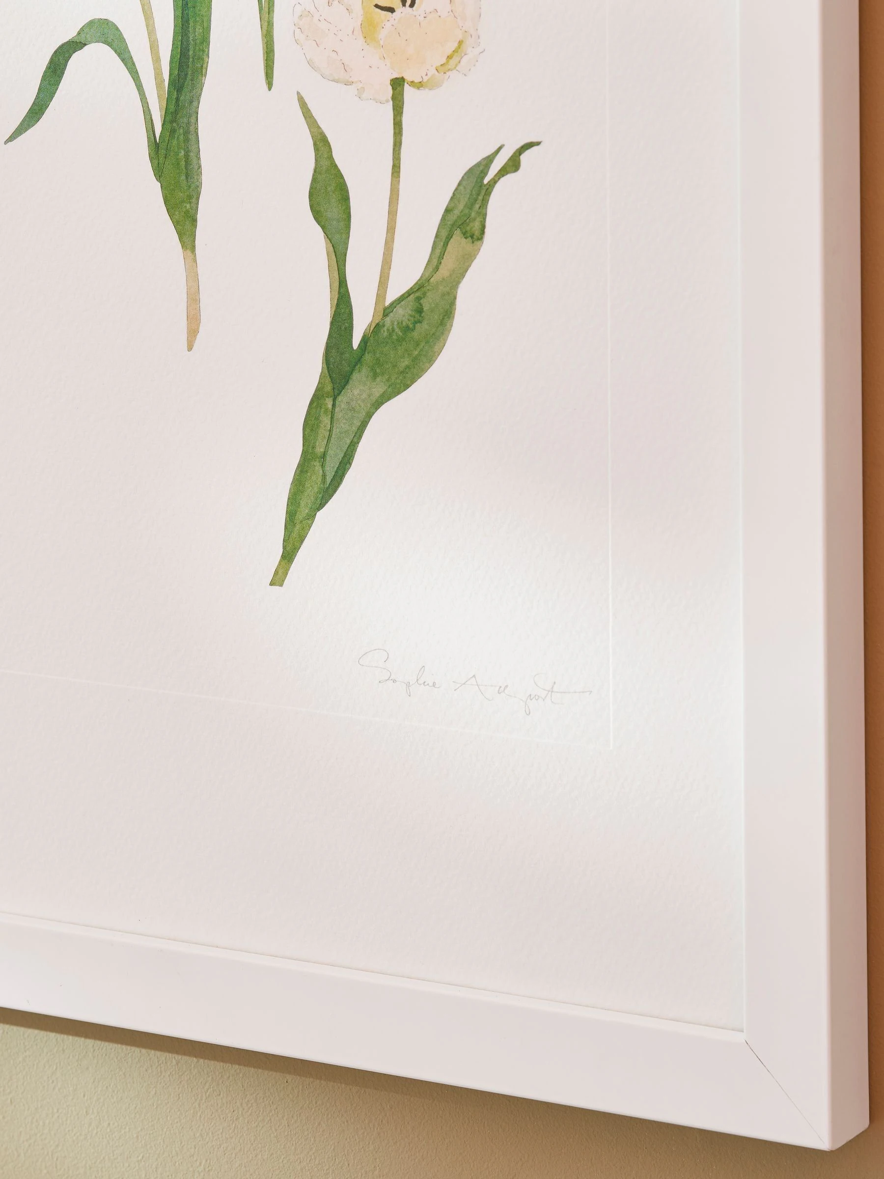 Sophie Allport wanddecoratie met multicolor tulpenprint