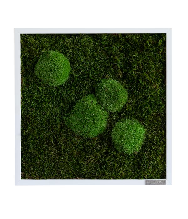 styleGREEN Bild aus Wald- und Kugelmoos,