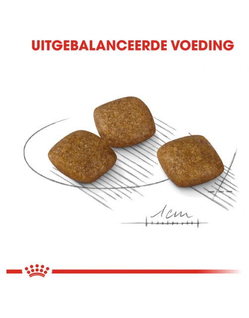 Royal Canin Relax Care Mini - Hondenvoer