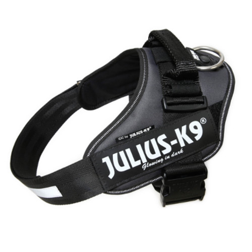 Coleira ergonômica cinza para cães Julius K9