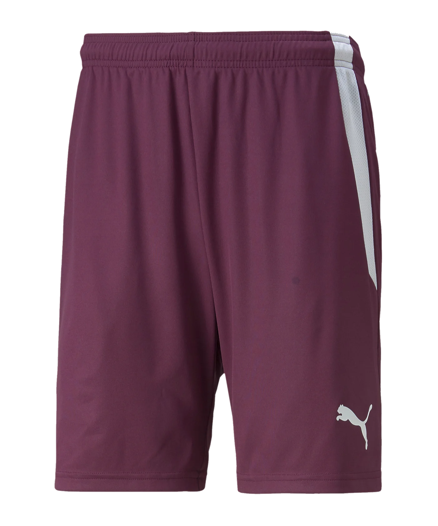 PUMA teamLIGA Short Lila F24