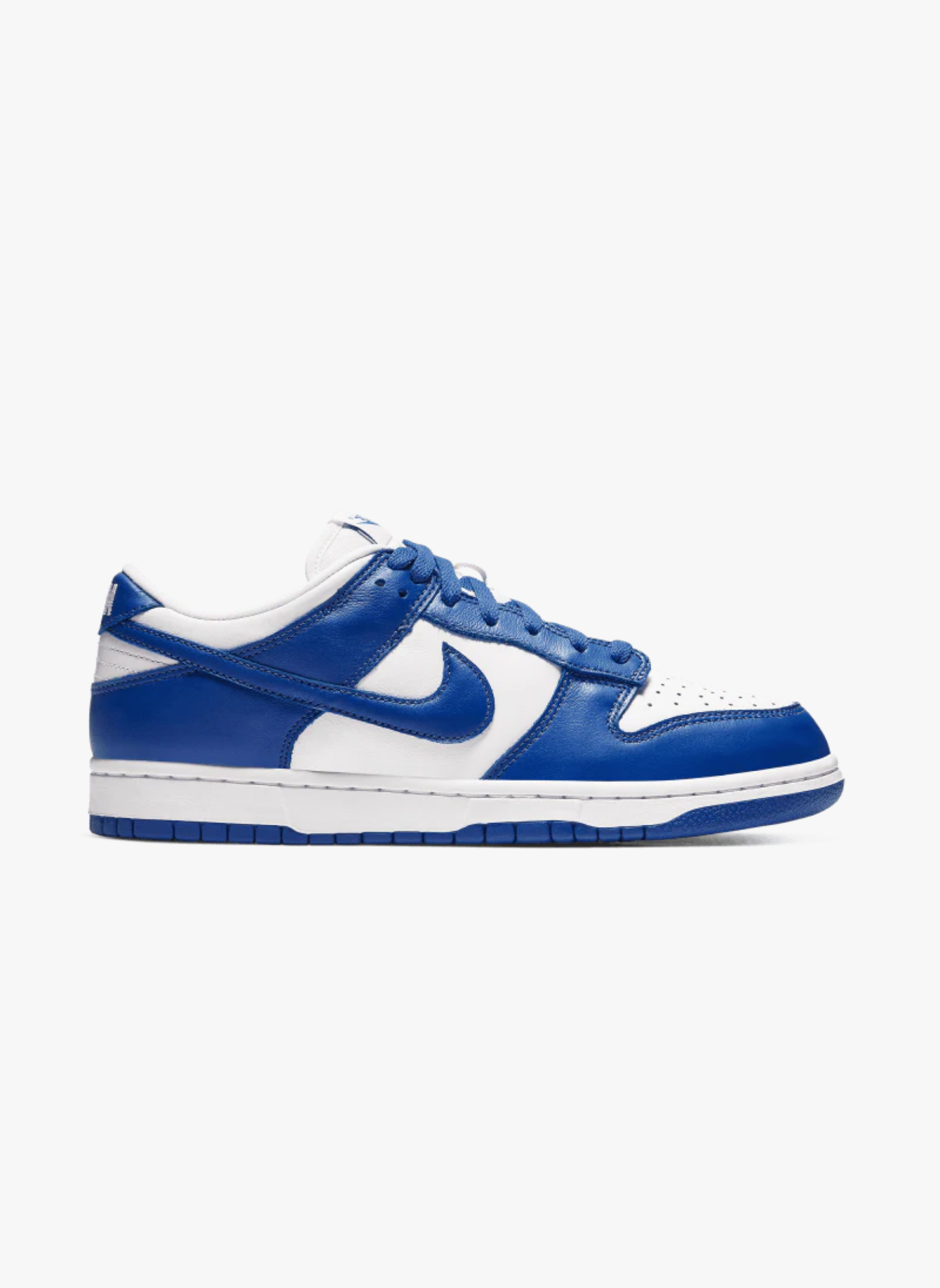 Dunk low sp varsity royal (kentucky) | Bleu