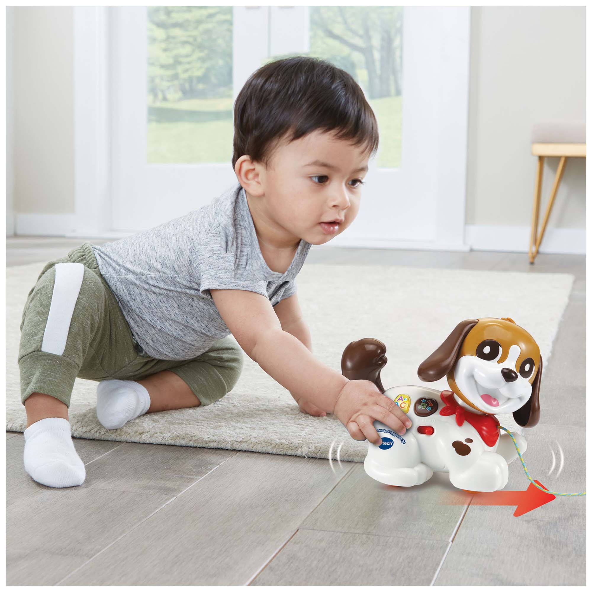 VTech mijn eerste puppyvriendje multi