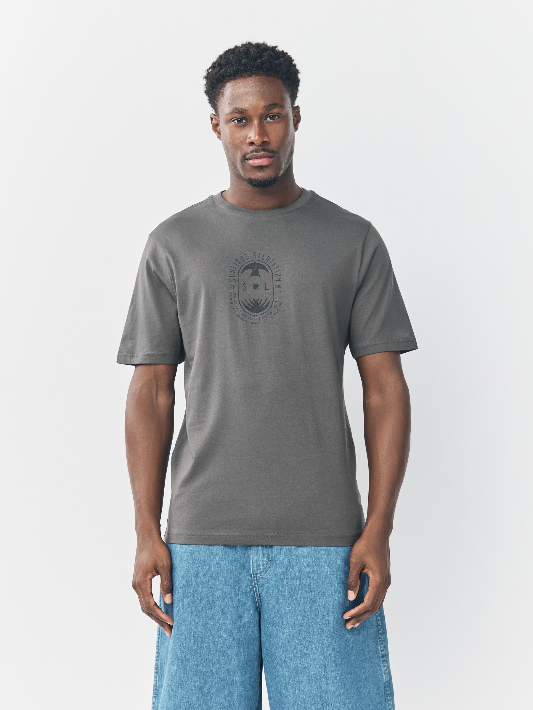 Wit/blauw/grijs - Normale Pasvorm - Set van 3 T-shirts met print