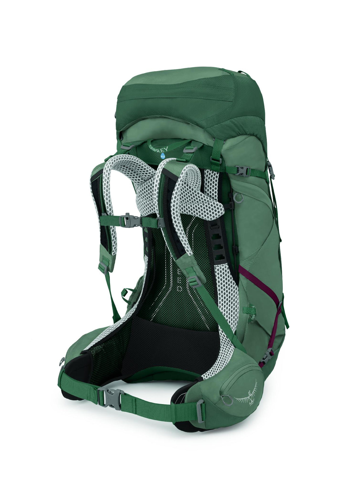 Osprey<br>Aura AG LT 50