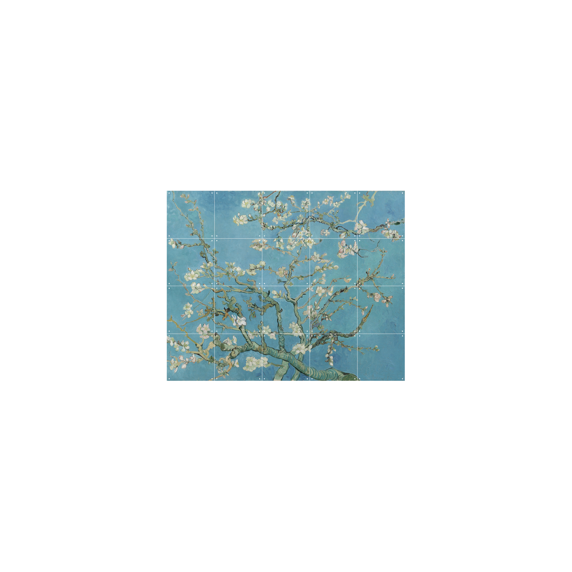 IXXI Almond Blossom 160 x 120 cm