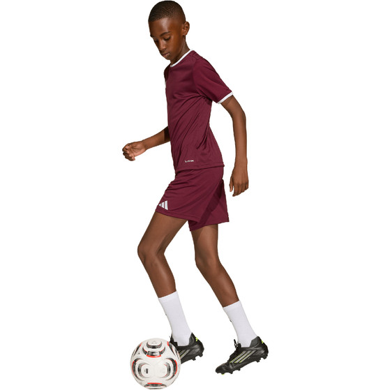 adidas Entrada 26 Training Short Kids