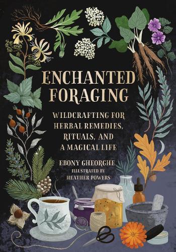 Enchanted Foraging: Wildcrafting for Herbal Remedies, Rituals, and a Magical Life (Hardback)