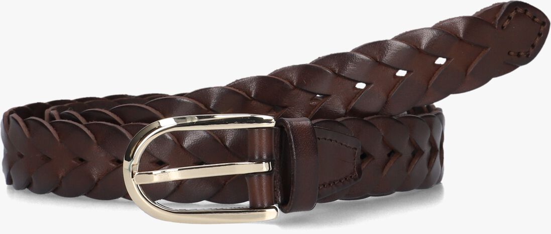bruine h.a.n. riem amara