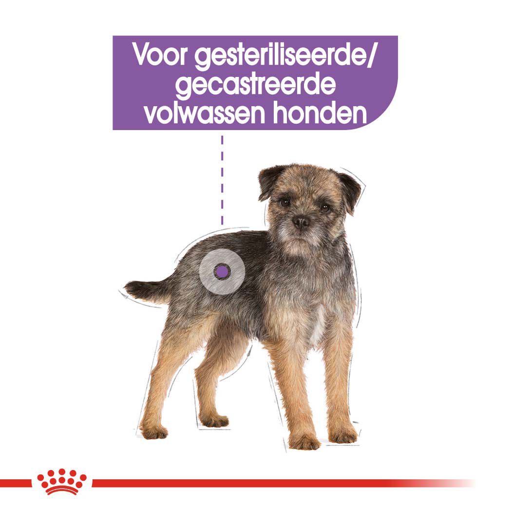 Royal Canin Sterilised Mini - Hondenvoer - 3 Kilogram - gevogelte