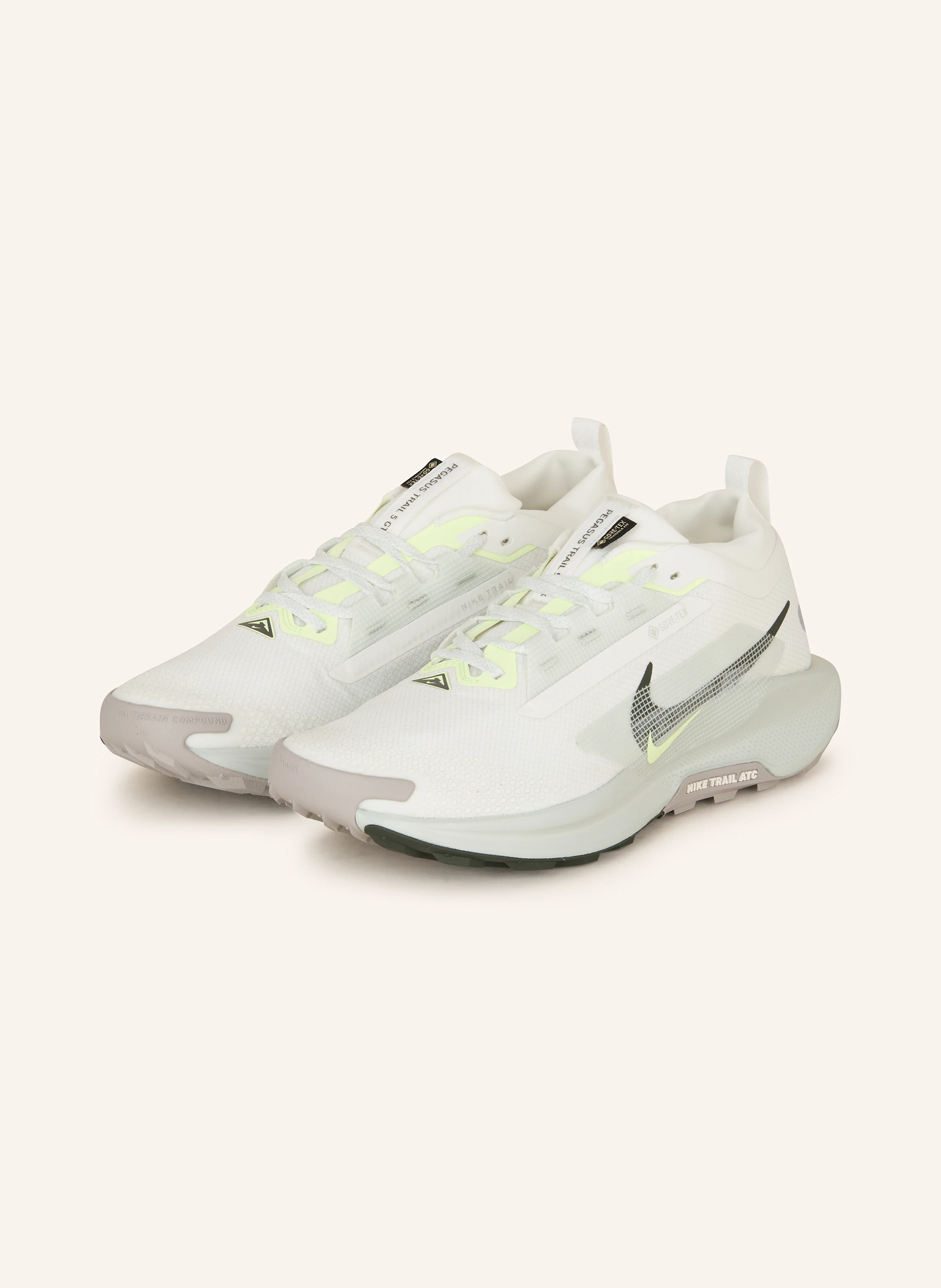 Nike Trailrunning-Schuhe PEGASUS TRAIL 5 GTX