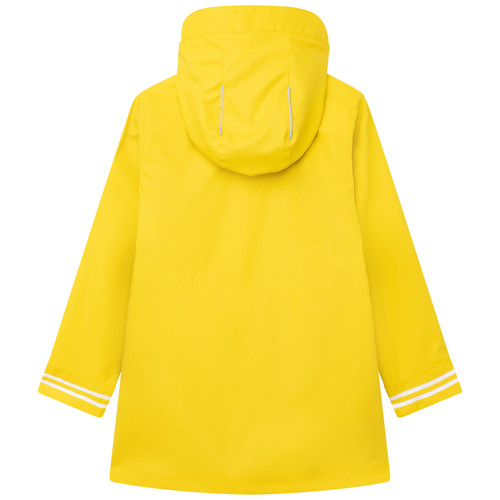 Aigle - ACHISTOYR - Jaune