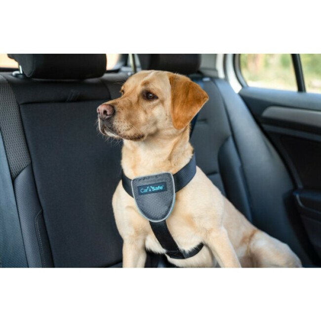 Harnais de voiture Clix Car Safe pour chien