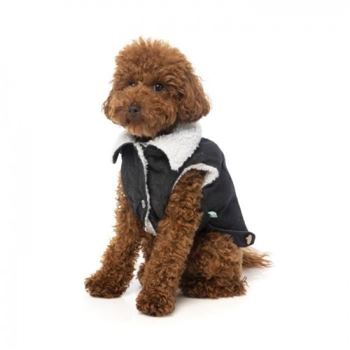 Casaco acolchoado para cães FuzzYard Easy Rider