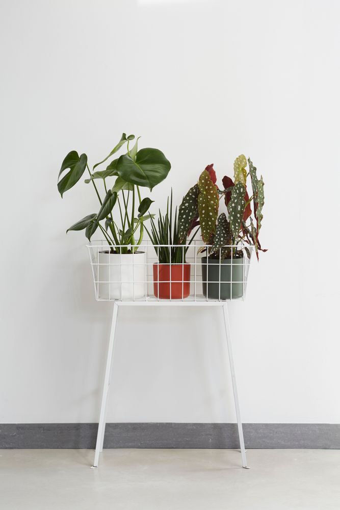 Elho bloempot B. for soft groen D 18,3 H 16,7 cm