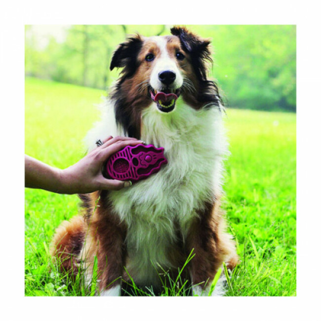 Brosse souple Zoom Groom KONG pour chien à poils longs - Bleu