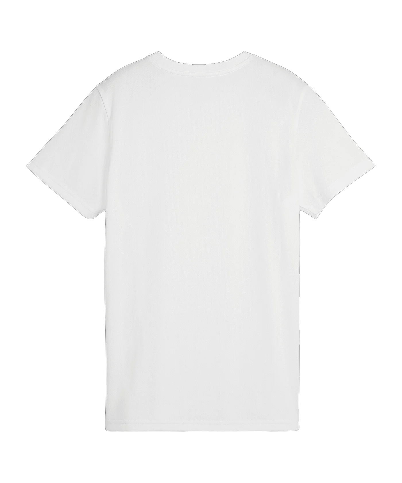 PUMA teamGOAL Trikot Damen Weiss F04