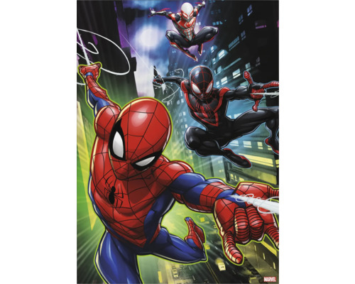 Canvas print Spiderman & Friends 50x70 cm