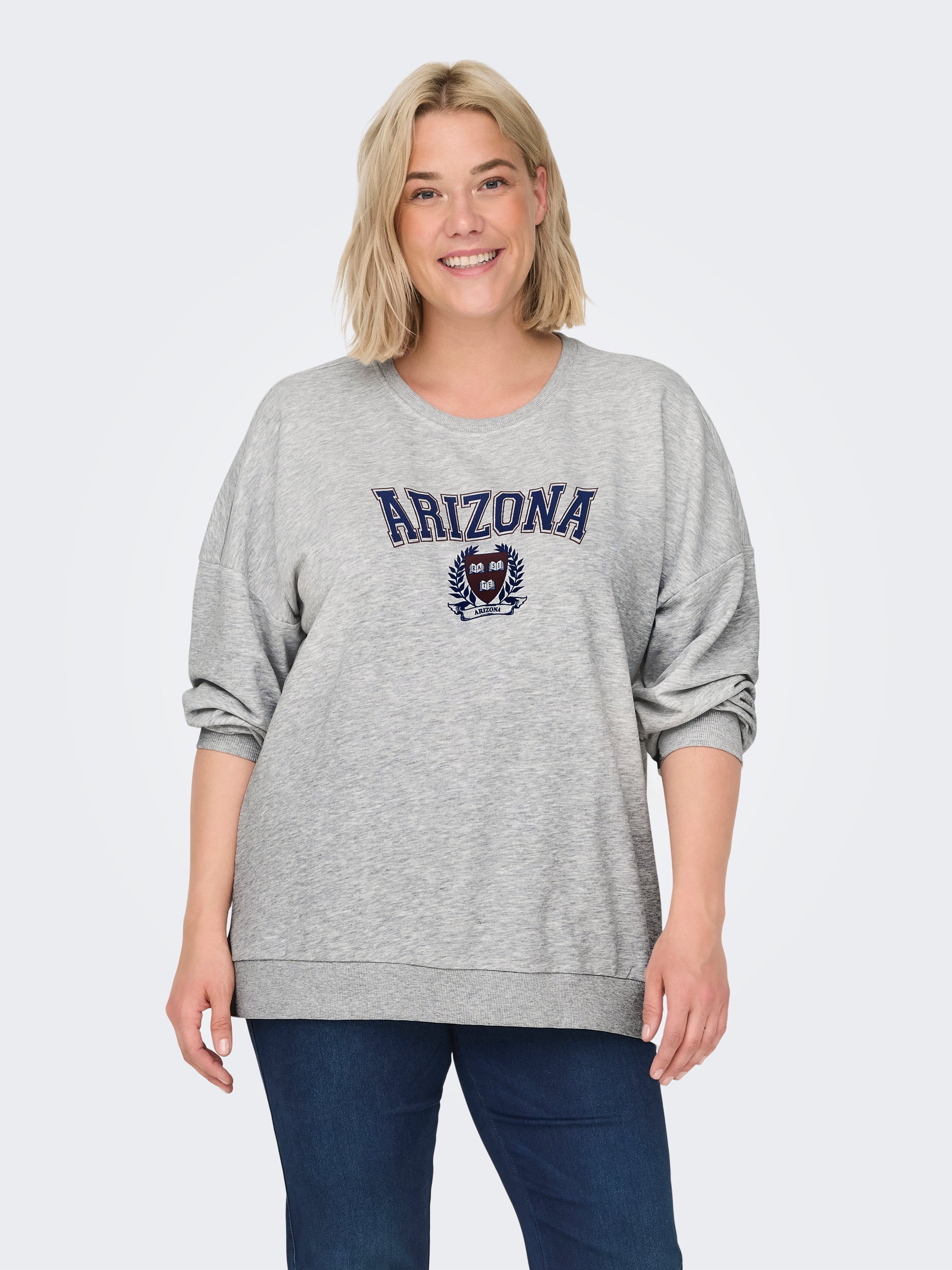 CARCOLLEGE Sweatshirt Light Grey Melange