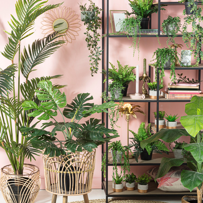 Hangplant in pot - 55 cm
