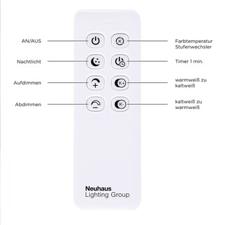LED-Deckenleuchte Iven stahlfarbig