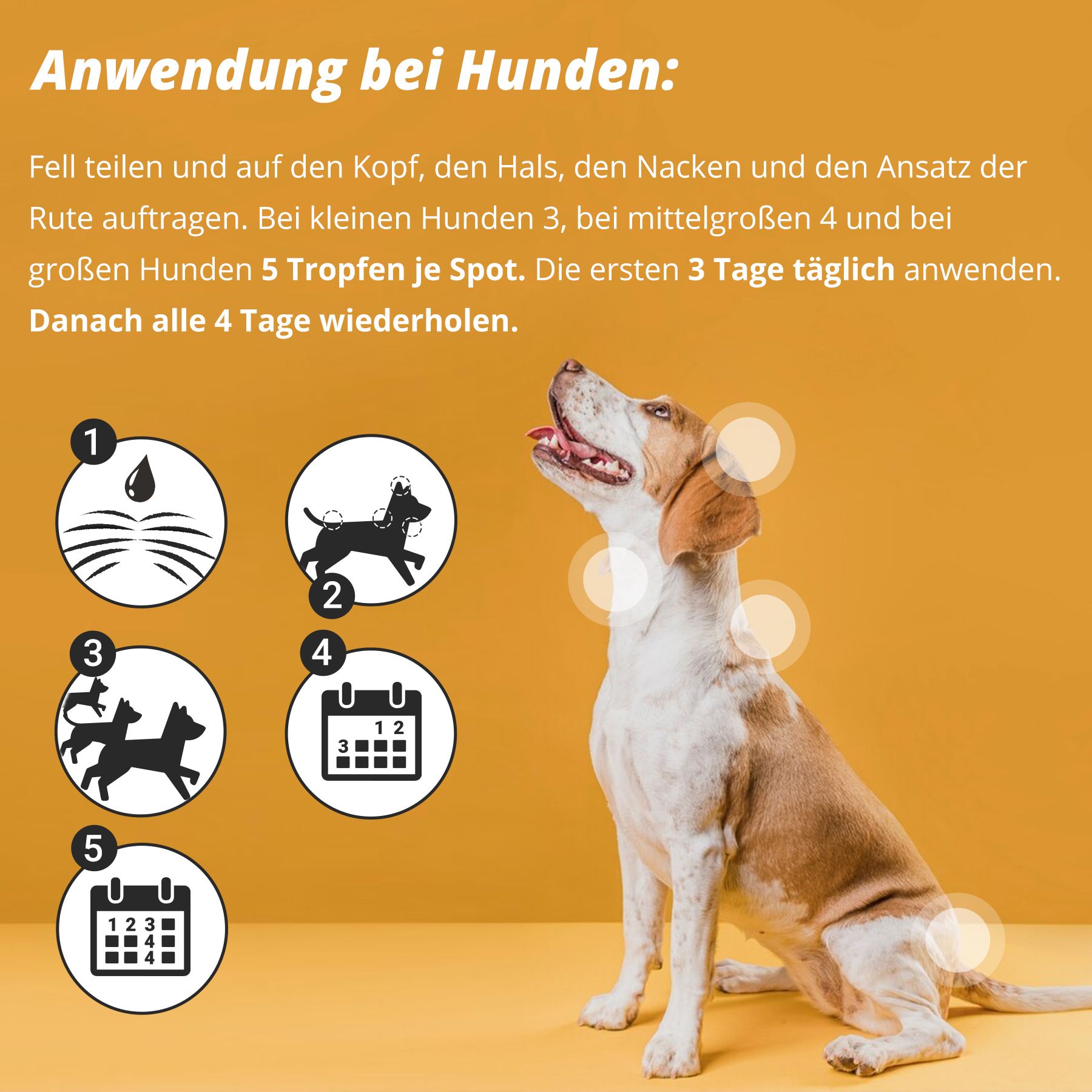 Marsavet Spot-On Zecken- und Flohschutz für Hunde, Katzen, Nager & Vögel
