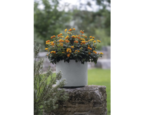 Geli Rondo kunststof bloempot, 47x47x36 cm, lichte betonkleur