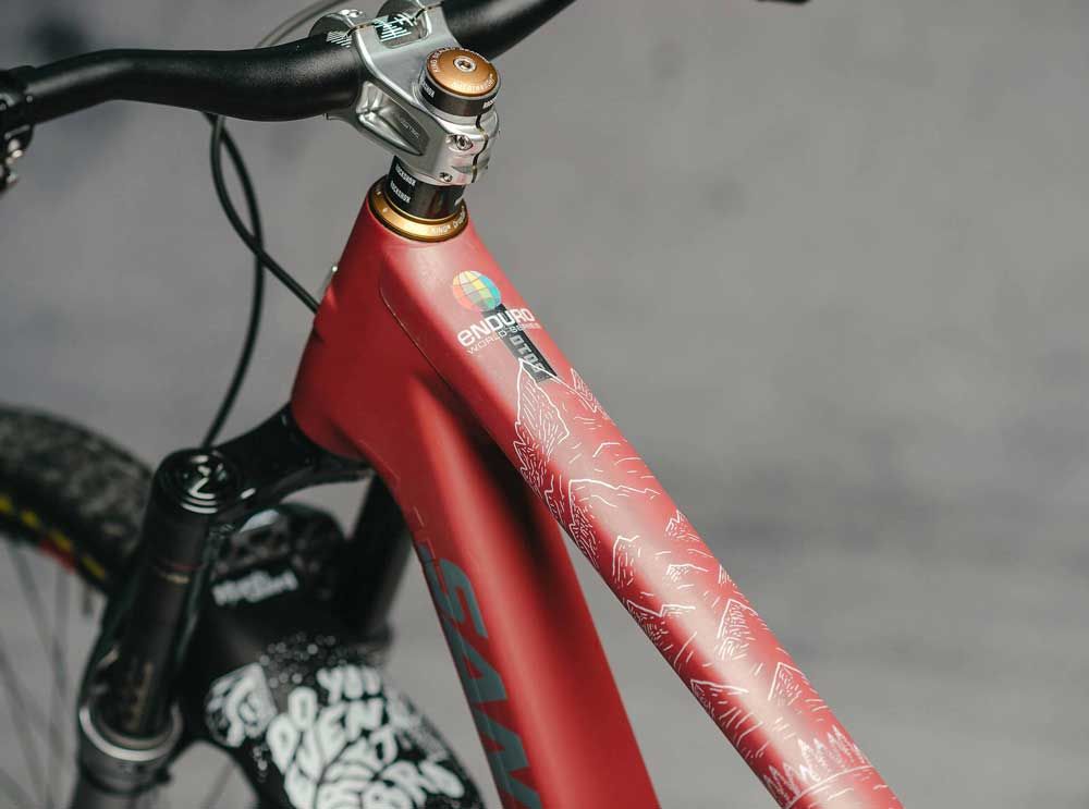 DYEDBRO EWS Mountains Rahmenschutz Kit kaufen | Bike-Discount