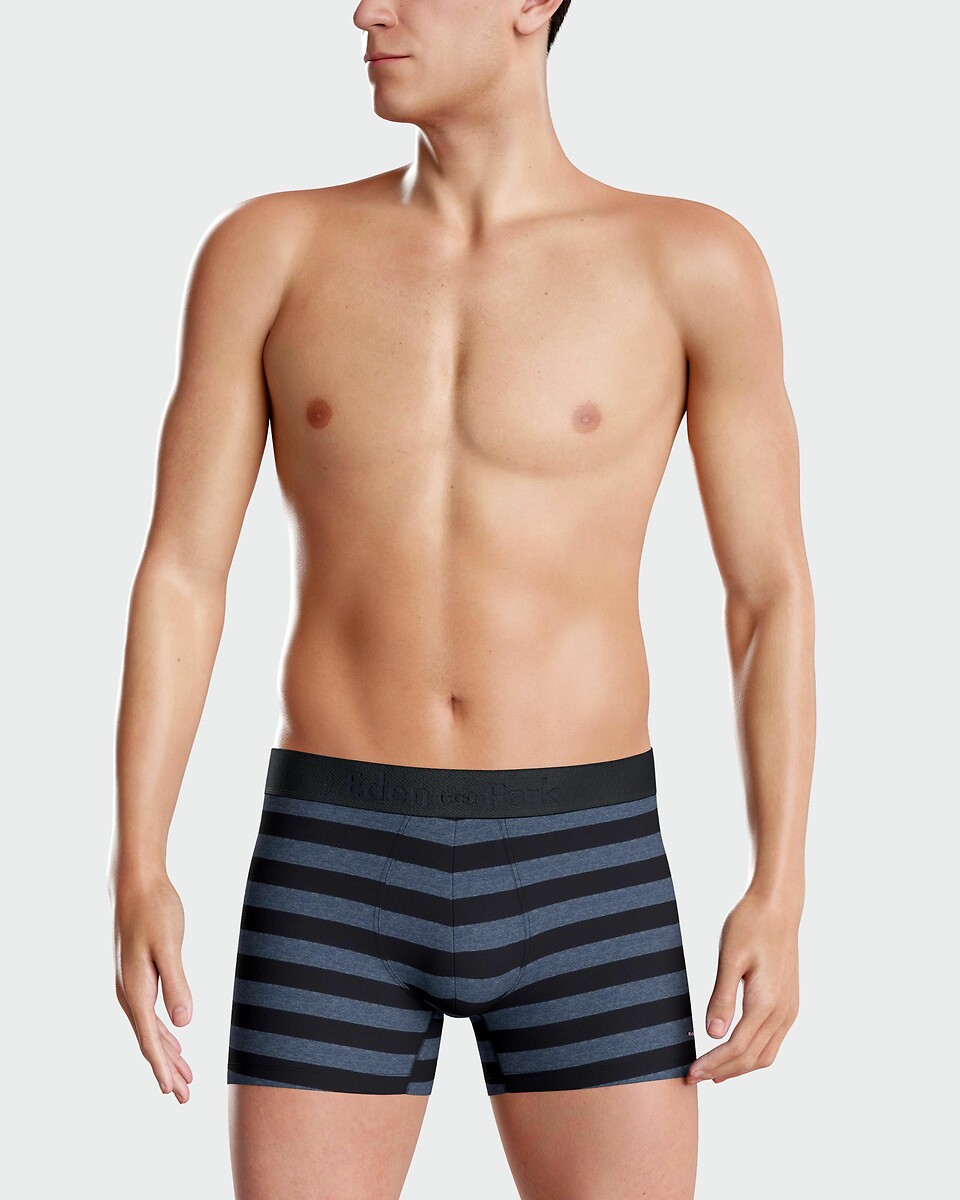 EDEN PARK<br>Conjunto de 2 cuecas boxer