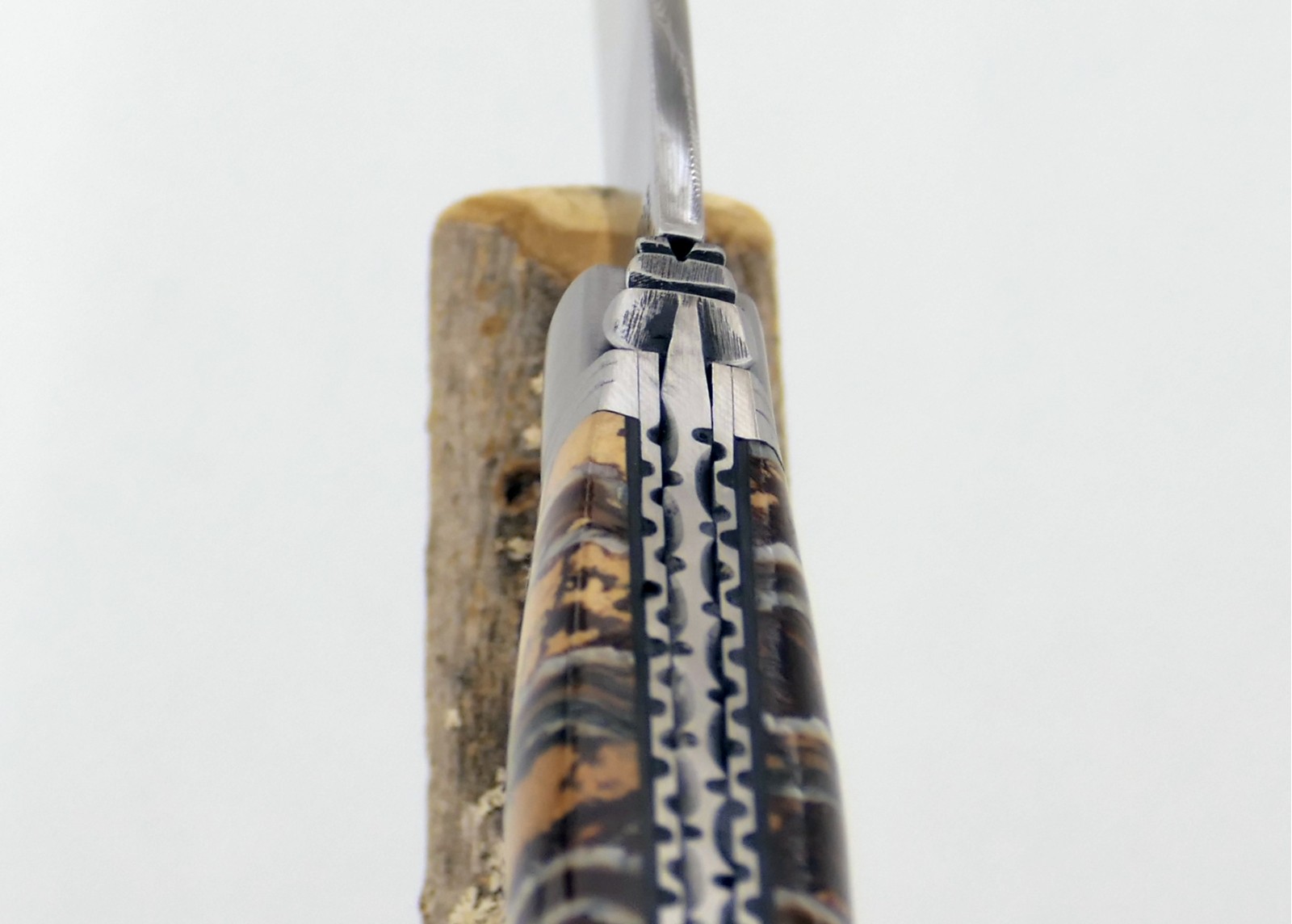 Couteau Laguiole avec un manche en Molaire de Mammouth Fossile
