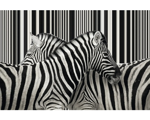 Gutta polycarbonaat meerwandige plaat/wandplaat 20-16 ZEBRAPLATTE wit 2000 mm x 980 mm x 16 mm